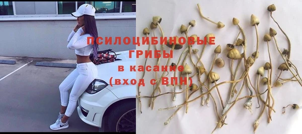 дурь Богородицк