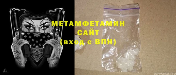 сатива Богданович