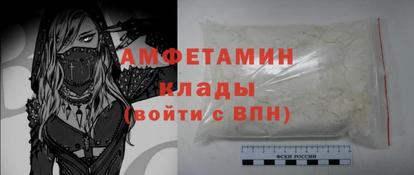 сатива Богданович