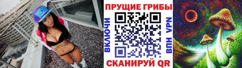 Купить закладки  Уварово  Галлюциногенные грибы Psilocybe 